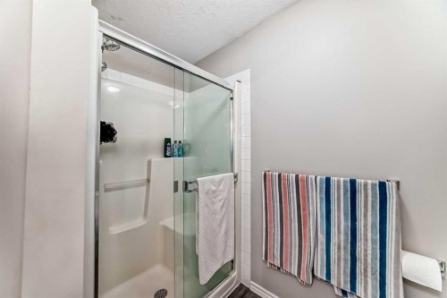 26 Copperfield View Se, Calgary, AB - Indoor Photo Showing Bathroom