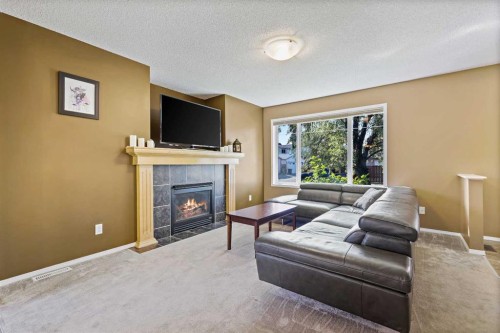 180 Copperfield Rise Se, Calgary, AB - Indoor Photo Showing Living Room With Fireplace