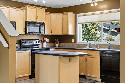 180 Copperfield Rise Se, Calgary, AB - Indoor Photo Showing Kitchen With Double Sink