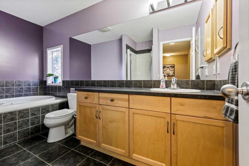 180 Copperfield Rise Se, Calgary, AB - Indoor Photo Showing Bathroom