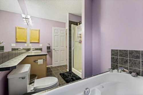 180 Copperfield Rise Se, Calgary, AB - Indoor Photo Showing Bathroom