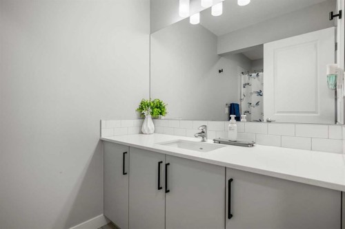 237 Walgrove Boulevard Se, Calgary, AB - Indoor Photo Showing Bathroom