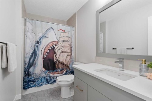 96 Emberside Glen, Cochrane, AB - Indoor Photo Showing Bathroom