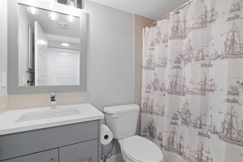 96 Emberside Glen, Cochrane, AB - Indoor Photo Showing Bathroom