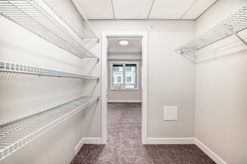 2209-2117 81 Street Sw, Calgary, AB - Indoor With Storage