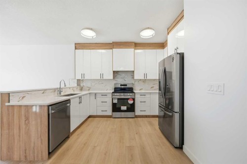 81 Saddlemont Road Ne, Calgary, AB - Indoor Photo Showing Kitchen With Stainless Steel Kitchen