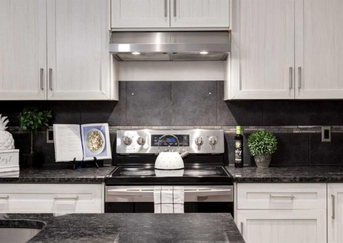 63 Panton Way Nw, Calgary, AB - Indoor Photo Showing Kitchen With Upgraded Kitchen