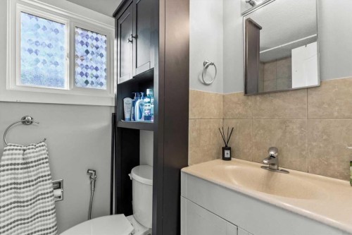 78 Templeson Crescent Ne, Calgary, AB - Indoor Photo Showing Bathroom