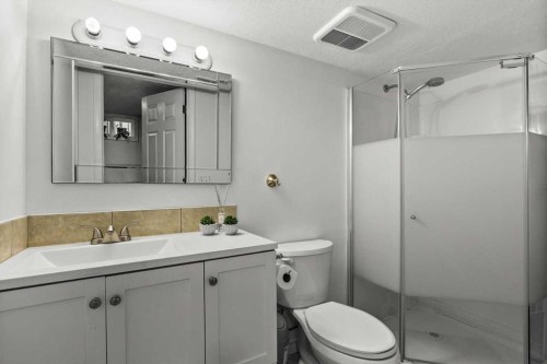 78 Templeson Crescent Ne, Calgary, AB - Indoor Photo Showing Bathroom