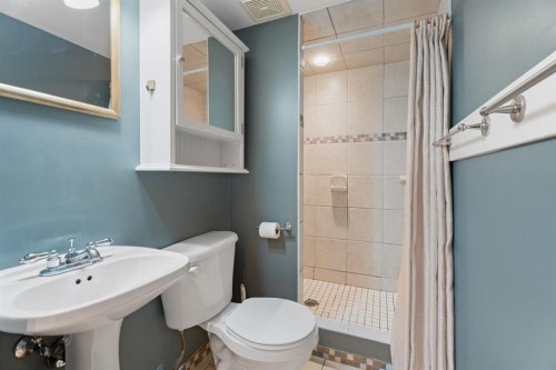 164 Beddington Circle Ne, Calgary, AB - Indoor Photo Showing Bathroom