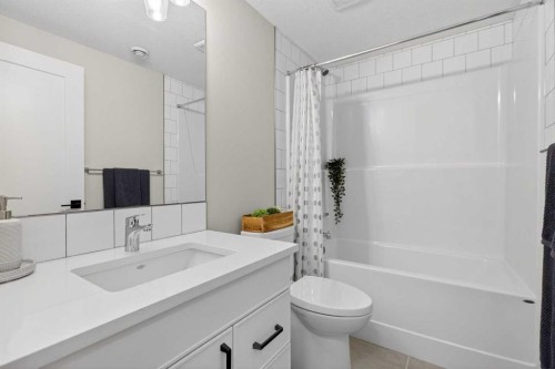 35 Wolf Hollow Park Se, Calgary, AB - Indoor Photo Showing Bathroom