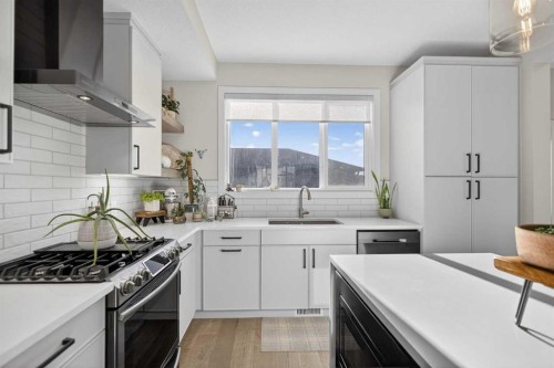 35 Wolf Hollow Park Se, Calgary, AB - Indoor Photo Showing Kitchen With Upgraded Kitchen