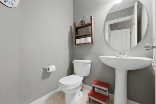 291 Springmere Link Sw, Chestermere, AB - Indoor Photo Showing Bathroom