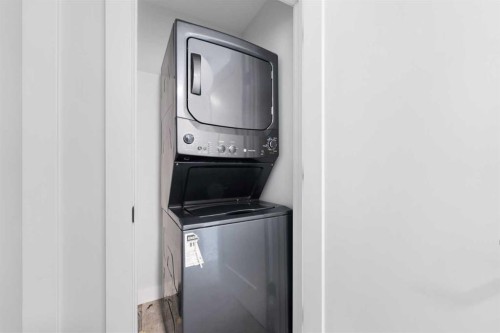 62 Walden Lane Se, Calgary, AB - Indoor Photo Showing Laundry Room