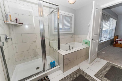 73 Redstone Link Ne, Calgary, AB - Indoor Photo Showing Bathroom