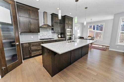 73 Redstone Link Ne, Calgary, AB - Indoor Photo Showing Kitchen With Upgraded Kitchen