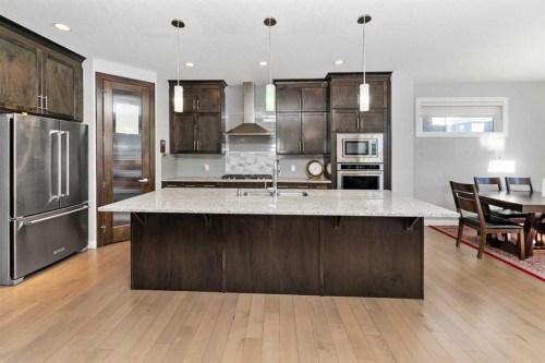 73 Redstone Link Ne, Calgary, AB - Indoor Photo Showing Kitchen With Stainless Steel Kitchen With Upgraded Kitchen