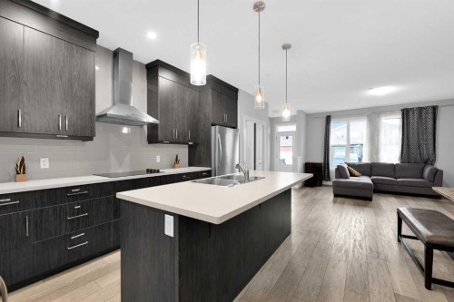 349 Calhoun Common Ne, Calgary, AB - Indoor Photo Showing Kitchen With Double Sink With Upgraded Kitchen