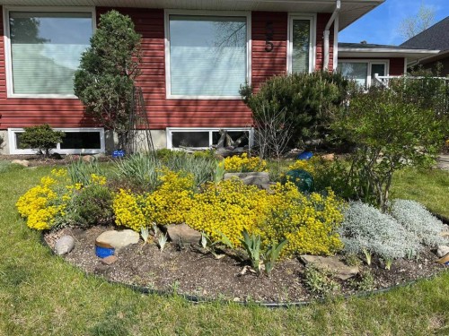 55 Heston Street Nw, Calgary, AB - Outdoor