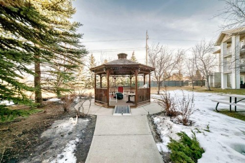 3129-6818 Pinecliff Grove Ne, Calgary, AB - Outdoor