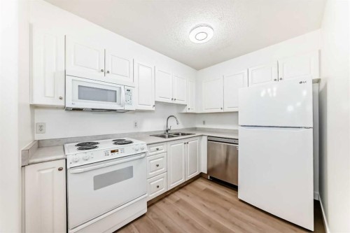 3129-6818 Pinecliff Grove Ne, Calgary, AB - Indoor Photo Showing Kitchen With Double Sink