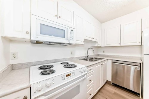3129-6818 Pinecliff Grove Ne, Calgary, AB - Indoor Photo Showing Kitchen With Double Sink