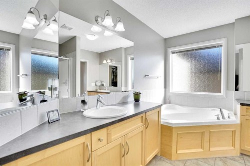 172 Seagreen Way, Chestermere, AB - Indoor Photo Showing Bathroom