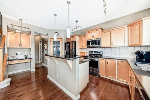 172 Seagreen Way, Chestermere, AB - Indoor Photo Showing Kitchen With Upgraded Kitchen