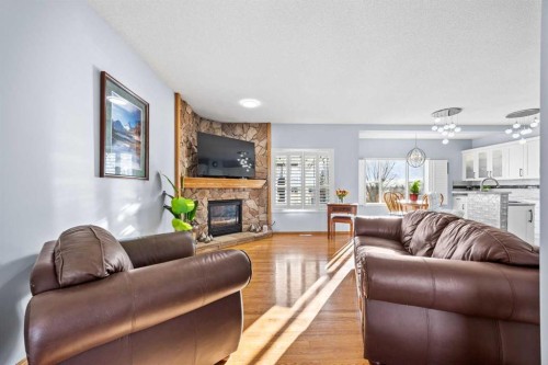244 Oakmere Place, Chestermere, AB - Indoor Photo Showing Living Room With Fireplace