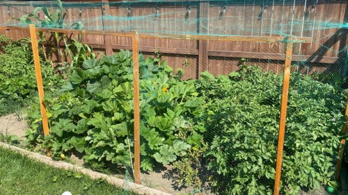 171 Kinniburgh Road, Chestermere, AB - 