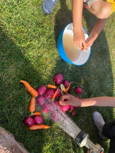 171 Kinniburgh Road, Chestermere, AB - Outdoor