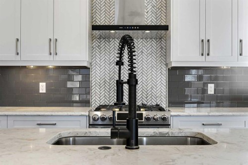 193 Evansridge View Nw, Calgary, AB - Indoor Photo Showing Kitchen With Double Sink With Upgraded Kitchen