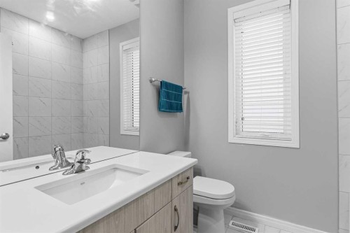 237 Windrow Crescent Sw, Airdrie, AB - Indoor Photo Showing Bathroom