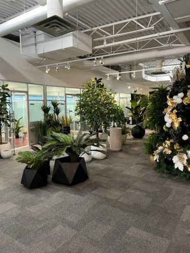 10900 46 Street Se, Calgary, AB 