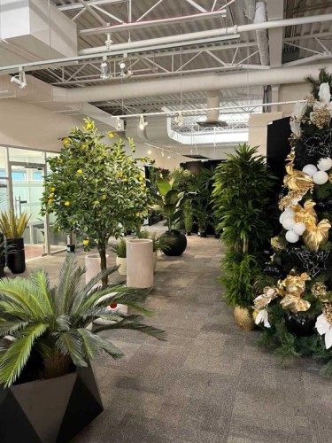 10900 46 Street Se, Calgary, AB 