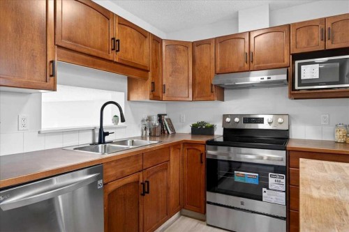 11 Copperfield Court Se, Calgary, AB - Indoor Photo Showing Kitchen With Double Sink