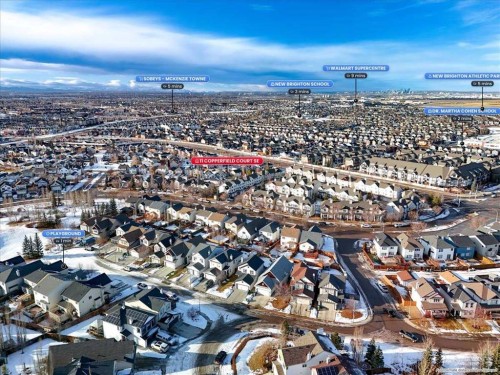 11 Copperfield Court Se, Calgary, AB - Outdoor With View