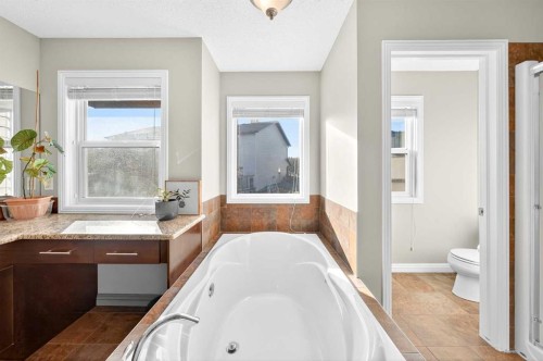 21 Panamount Street Nw, Calgary, AB - Indoor Photo Showing Bathroom