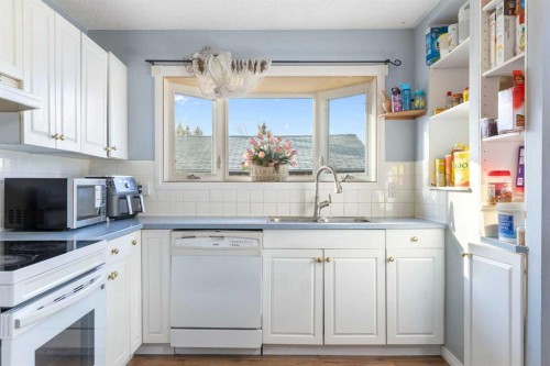 6124 Maddock Drive Ne, Calgary, AB - Indoor Photo Showing Kitchen With Double Sink