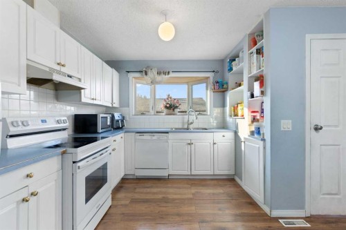 6124 Maddock Drive Ne, Calgary, AB - Indoor Photo Showing Kitchen With Double Sink