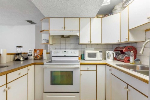 6124 Maddock Drive Ne, Calgary, AB - Indoor Photo Showing Kitchen With Double Sink