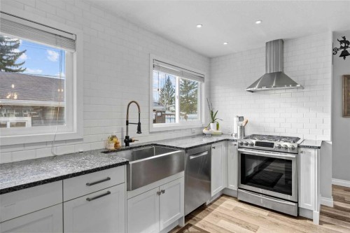 123 Sackville Drive Sw, Calgary, AB - Indoor Photo Showing Kitchen With Stainless Steel Kitchen With Double Sink With Upgraded Kitchen