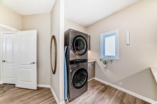 58 Chapala Crescent Se, Calgary, AB - Indoor Photo Showing Laundry Room