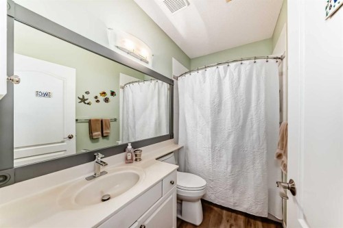 58 Chapala Crescent Se, Calgary, AB - Indoor Photo Showing Bathroom
