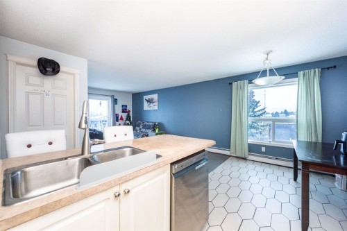 304-5555 Falsbridge Drive Ne, Calgary, AB - Indoor Photo Showing Kitchen With Double Sink