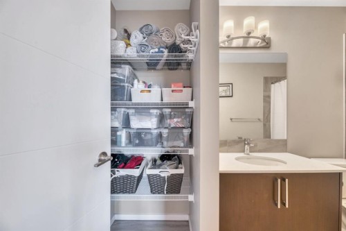 201-235 Redstone Walk Ne, Calgary, AB - Indoor Photo Showing Bathroom