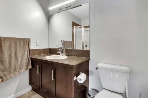 149 New Brighton Point Se, Calgary, AB - Indoor Photo Showing Bathroom