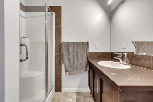 149 New Brighton Point Se, Calgary, AB - Indoor Photo Showing Bathroom