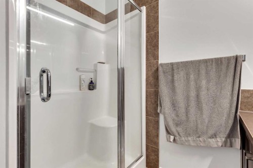 149 New Brighton Point Se, Calgary, AB - Indoor Photo Showing Bathroom