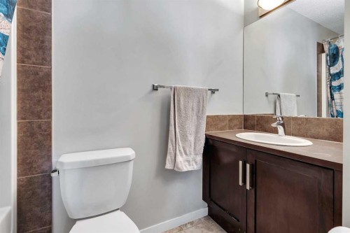149 New Brighton Point Se, Calgary, AB - Indoor Photo Showing Bathroom
